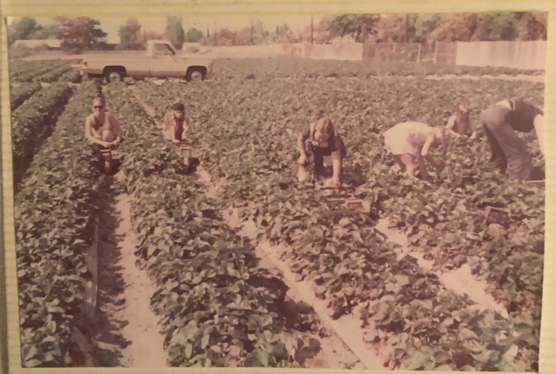 Ken Doi Farm